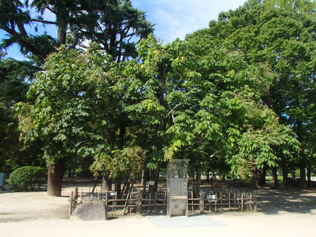 広島観光｜広島 平和公園