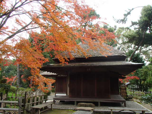 広島観光｜広島 縮景園