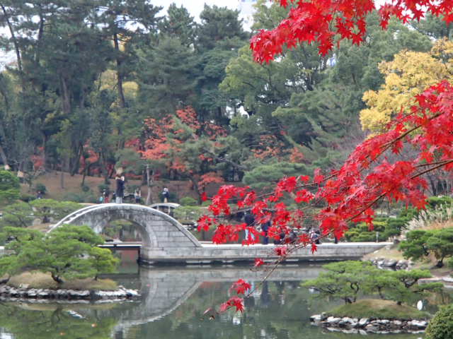 広島観光｜広島 縮景園