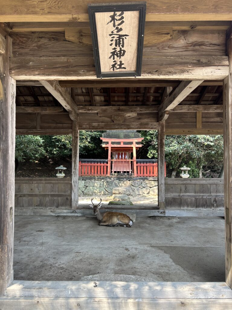 広島観光｜宮島七浦巡り