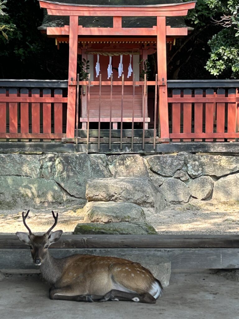 広島観光｜広島 宮島七浦巡り