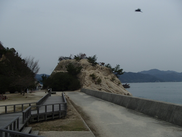 広島観光｜広島 大久野島