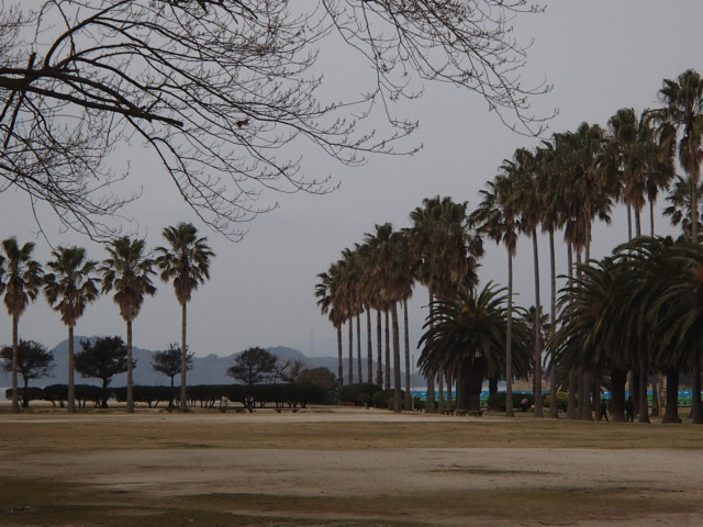 広島観光｜広島 大久野島