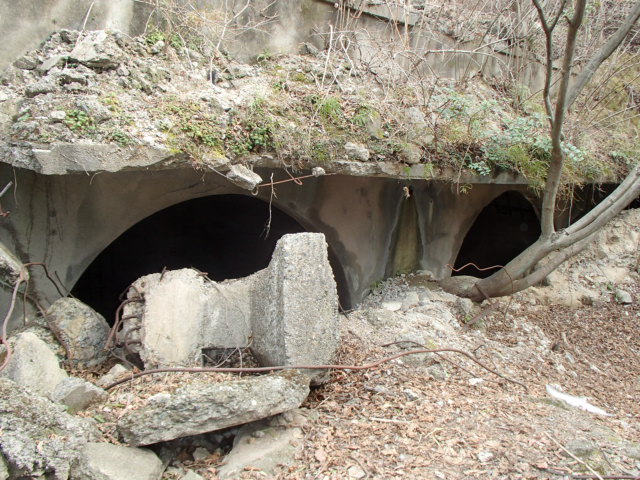 広島観光｜広島 大久野島