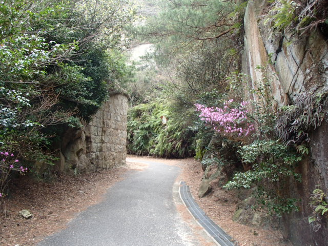 広島観光｜広島 大久野島