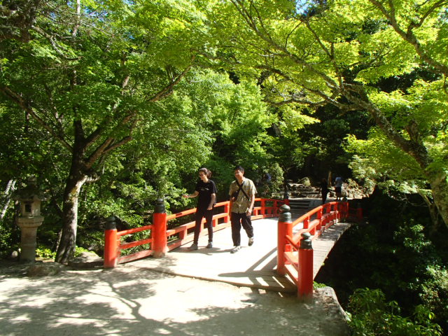 広島観光｜広島 宮島