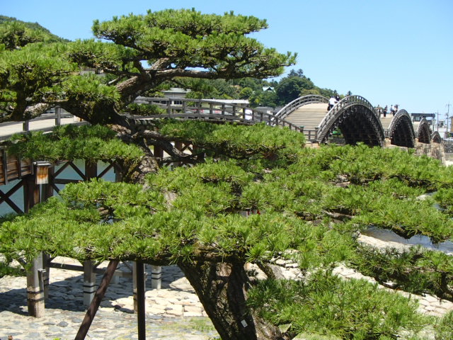 山口観光｜岩国 錦帯橋