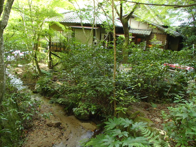 広島観光｜広島 三瀧寺