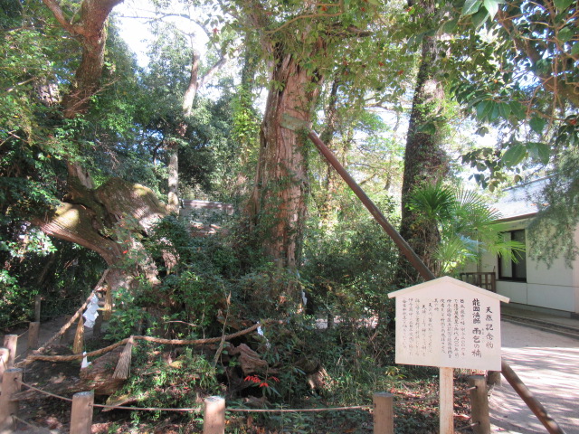 愛媛観光｜愛媛 大山祇神社