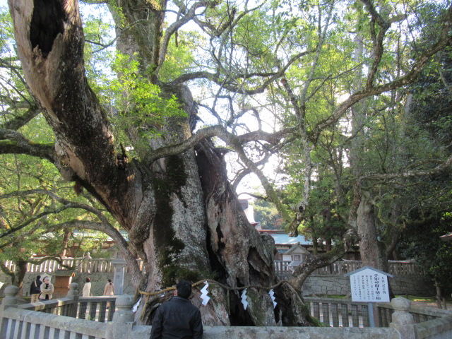 愛媛観光｜愛媛 大山祇神社