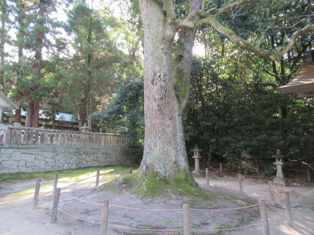 愛媛観光｜愛媛 大山祇神社