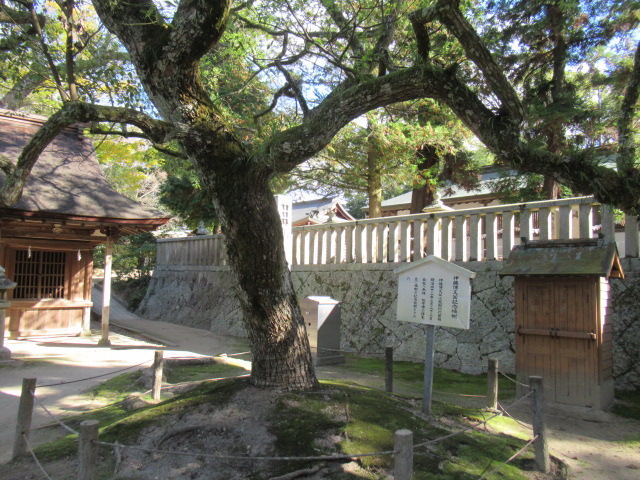 愛媛観光｜愛媛 大山祇神社