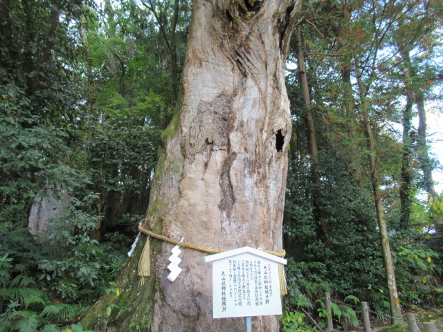 愛媛観光｜愛媛 大山祇神社