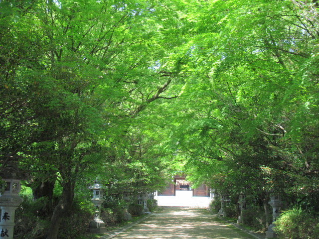 広島観光｜広島 速谷神社