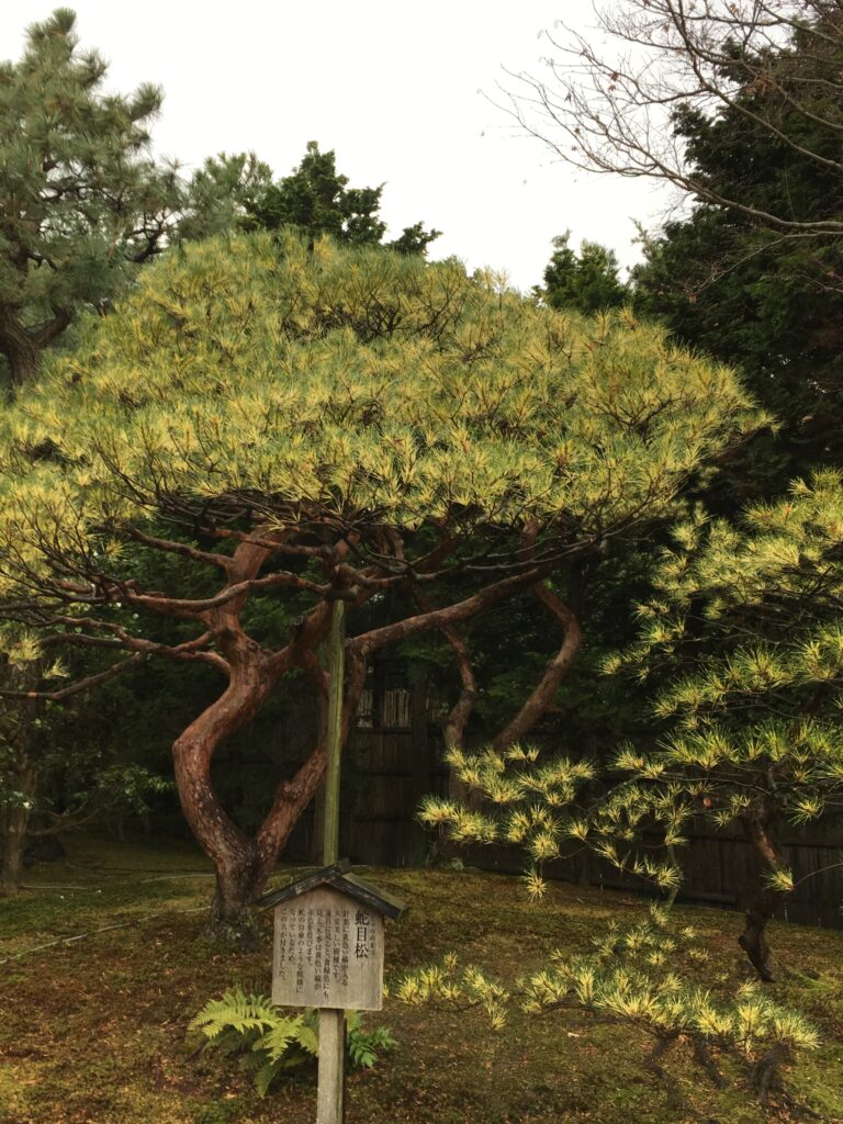 島根 松江観光