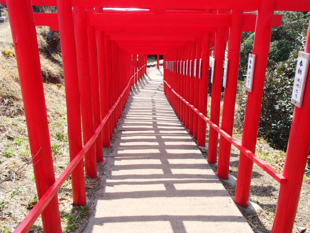 山口観光｜山口 元乃隅神社