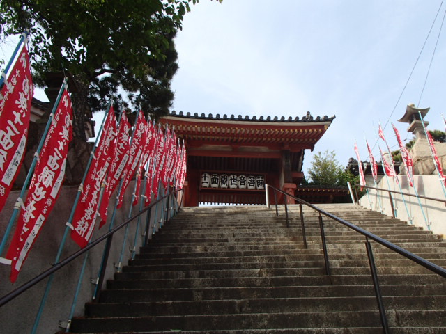 広島観光｜尾道 千光寺公園