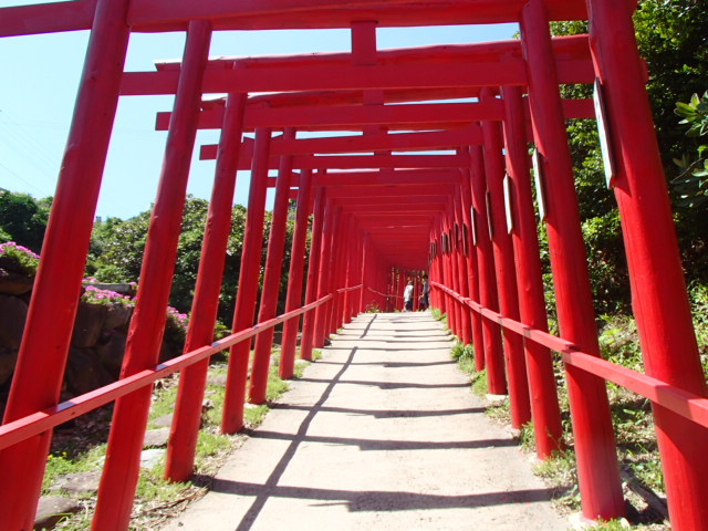 山口観光｜山口 元乃隅神社