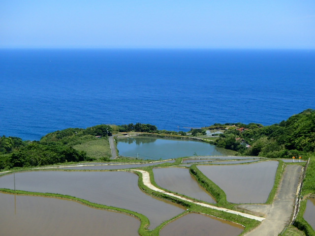 山口観光｜山口 東後畑棚田