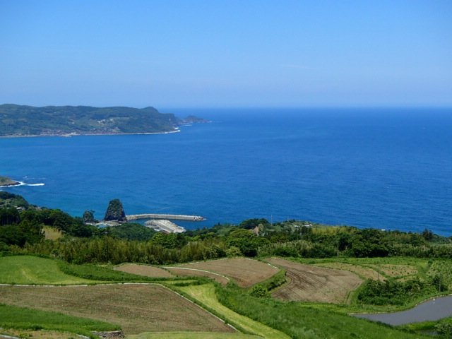 山口観光｜山口 東後畑棚田