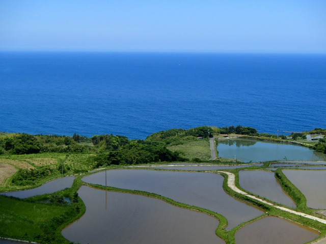 山口観光｜山口 東後畑棚田