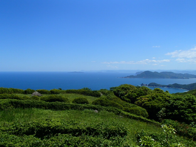 山口観光｜山口 千畳敷