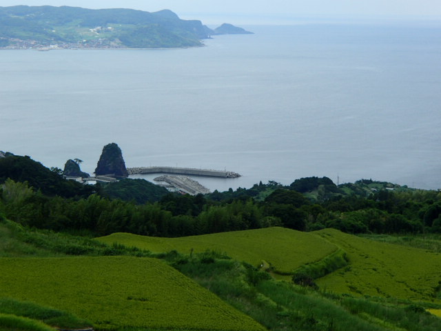 山口観光｜山口 東後畑棚田