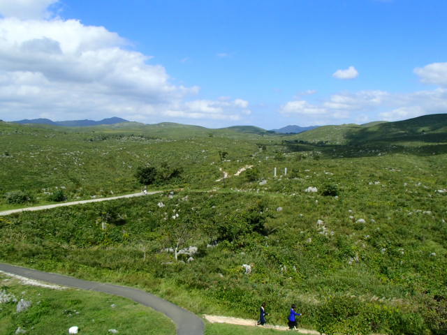 山口観光｜山口 秋吉台