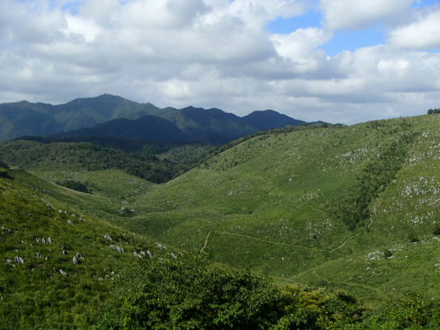 山口観光｜山口 秋吉台