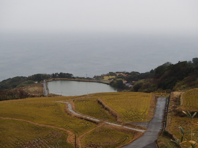 山口観光｜山口 東後畑棚田