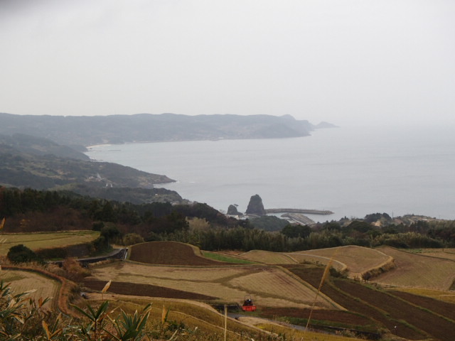 山口観光｜東後畑棚田