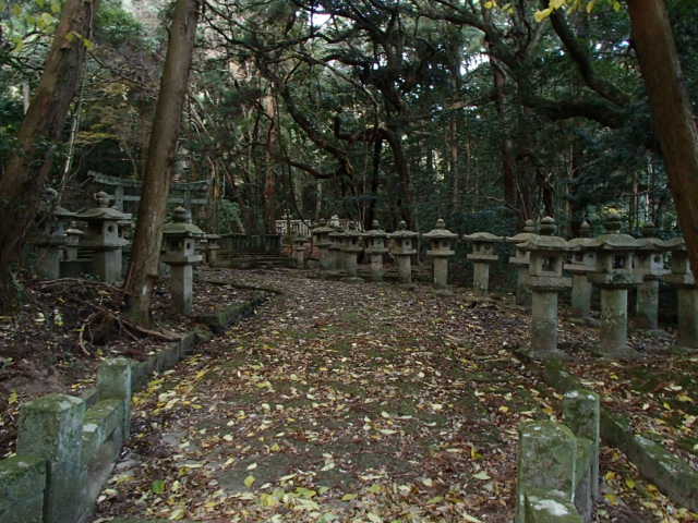 山口観光｜萩 大照院