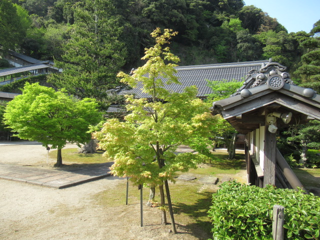 島根観光|島根 一畑薬師