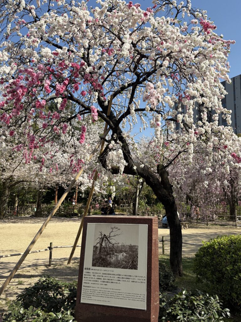 広島観光｜広島 縮景園