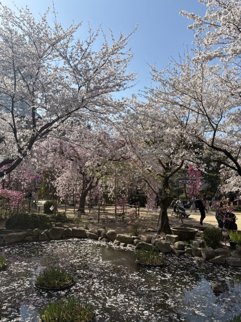 広島観光｜広島 縮景園