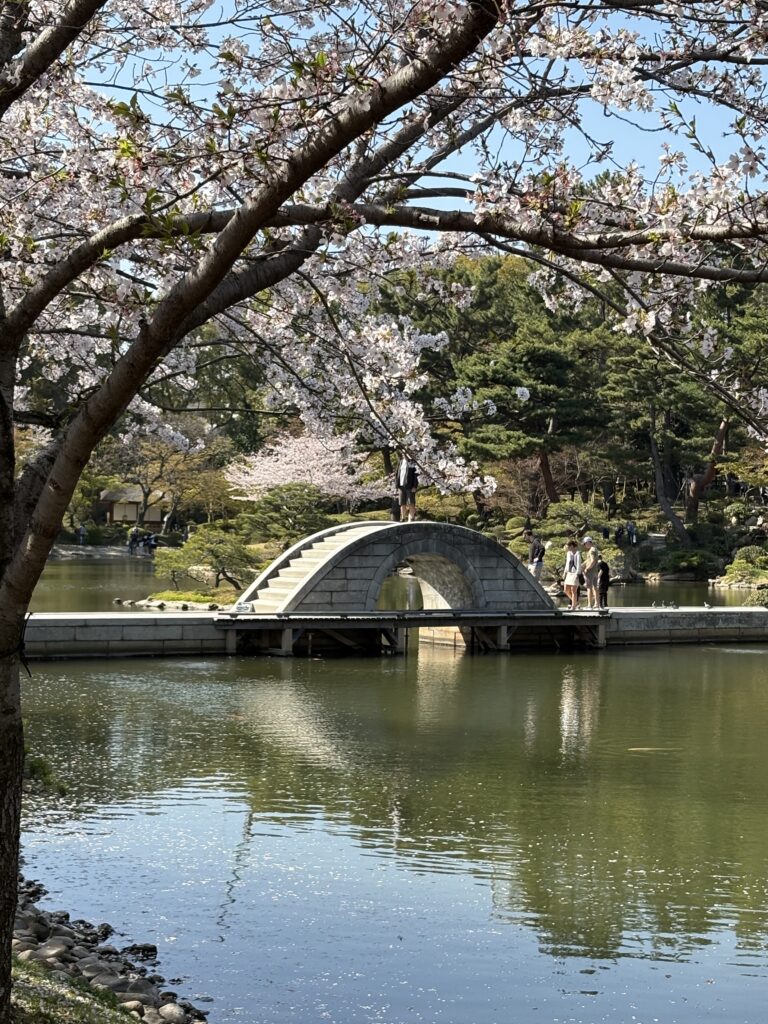 広島観光｜広島 縮景園