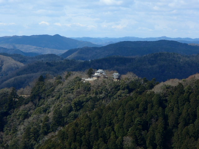 岡山観光|岡山 松山城