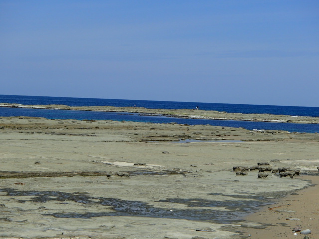 島根観光|島根 石見畳ヶ浦