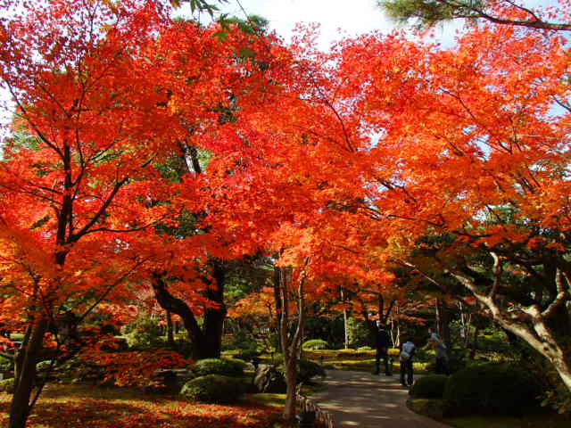島根観光|島根 由志園