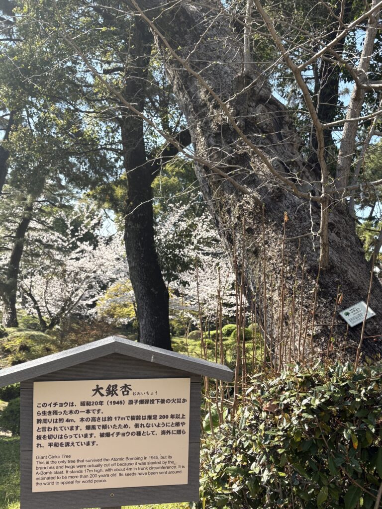 広島観光｜広島 縮景園