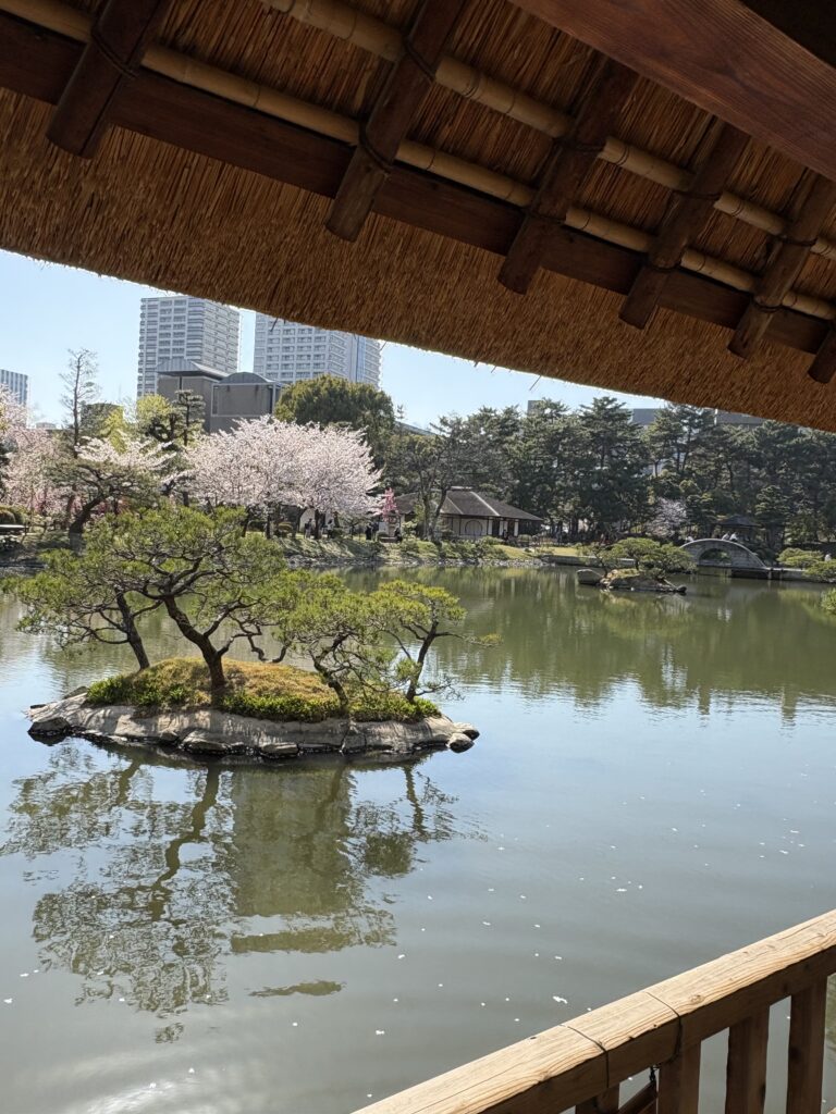 広島観光｜広島 縮景園