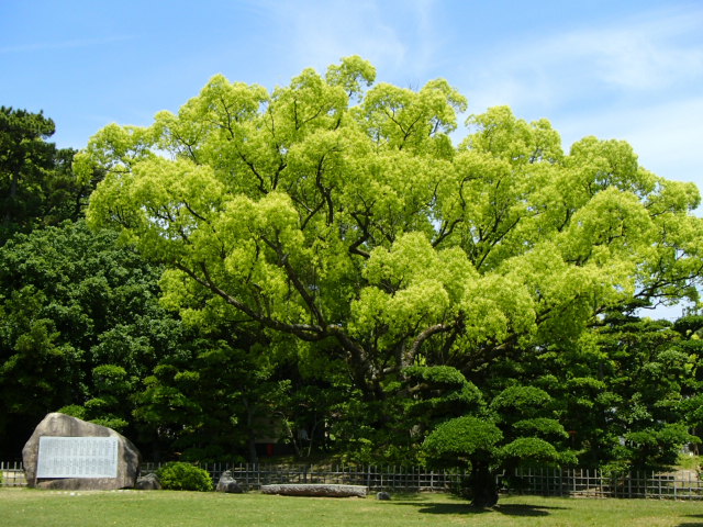 香川観光|香川 栗林公園