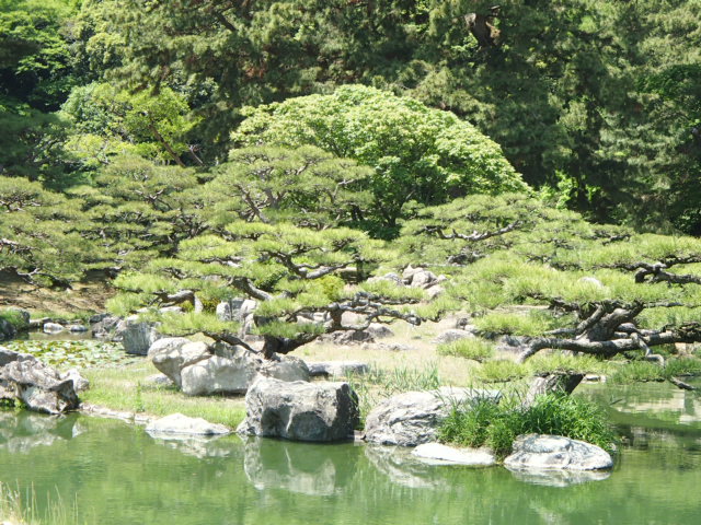 香川観光|香川 栗林公園