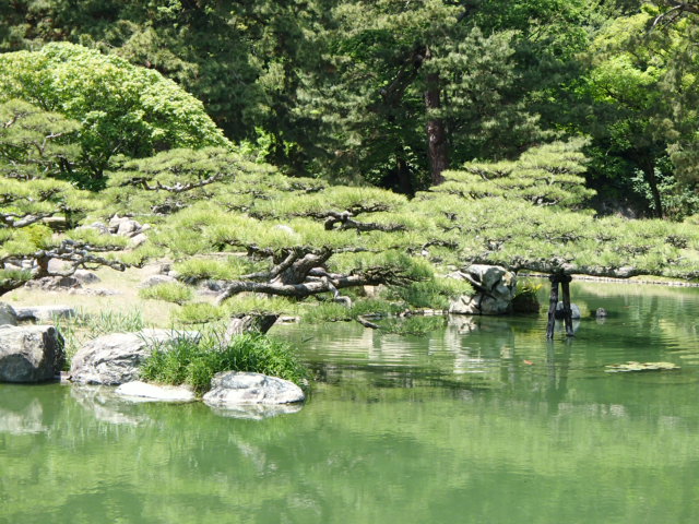 香川観光|香川 栗林公園