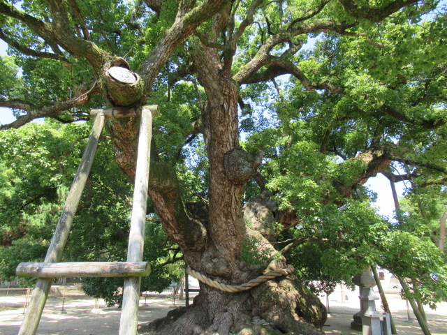 香川観光｜香川 善通寺