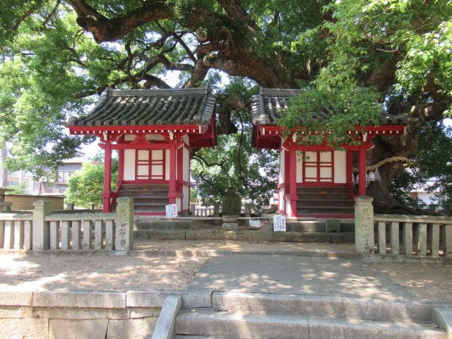 香川観光｜香川 善通寺