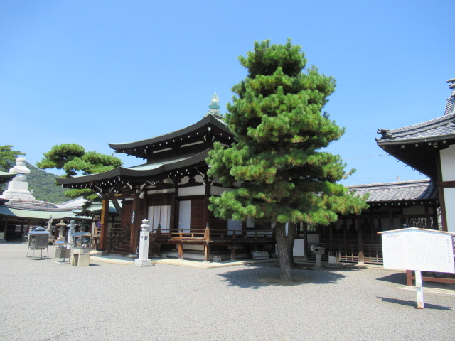 香川観光｜香川 善通寺