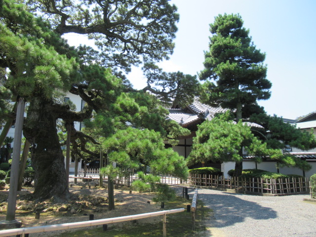 香川観光｜香川 善通寺