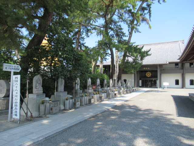 香川観光｜香川 善通寺