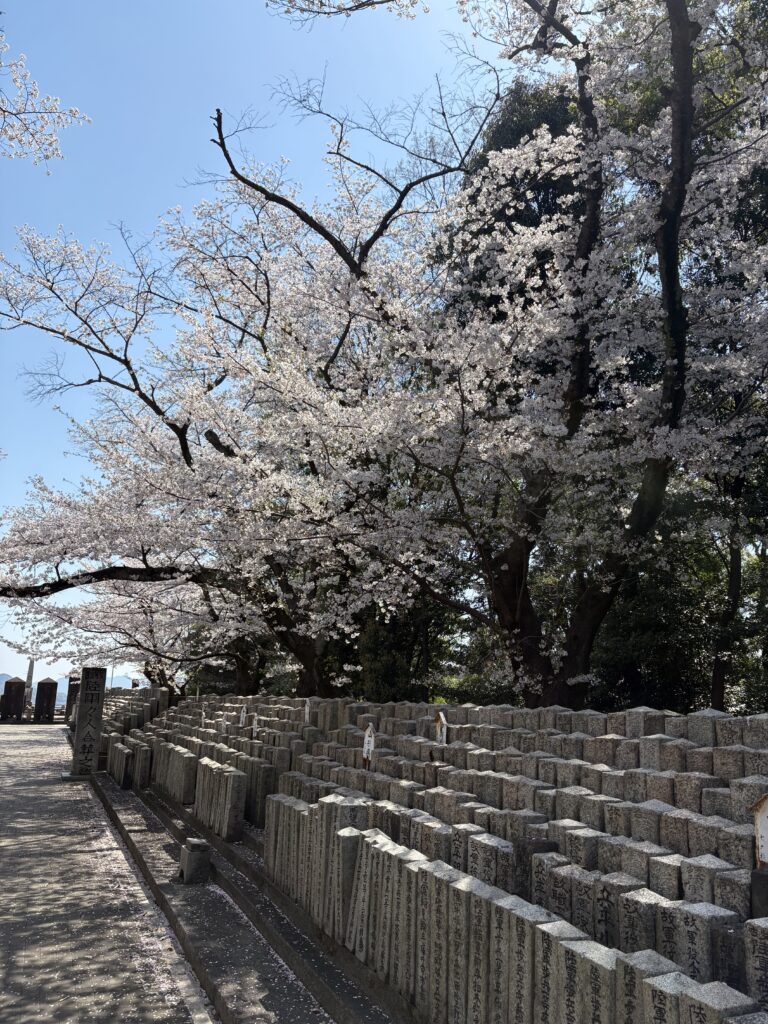 広島観光｜広島 陸軍墓地